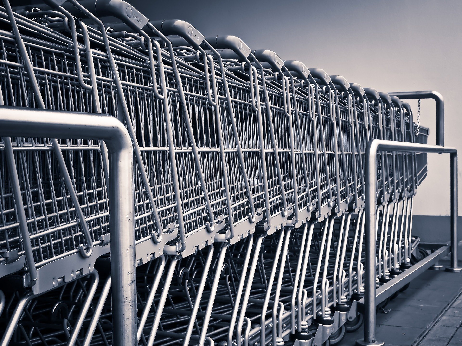 shopping-carts-1275480_1920