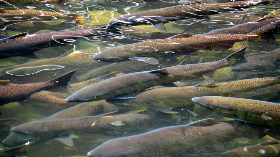 shutterstock_107205503