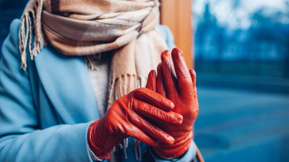 shutterstock_1354938875