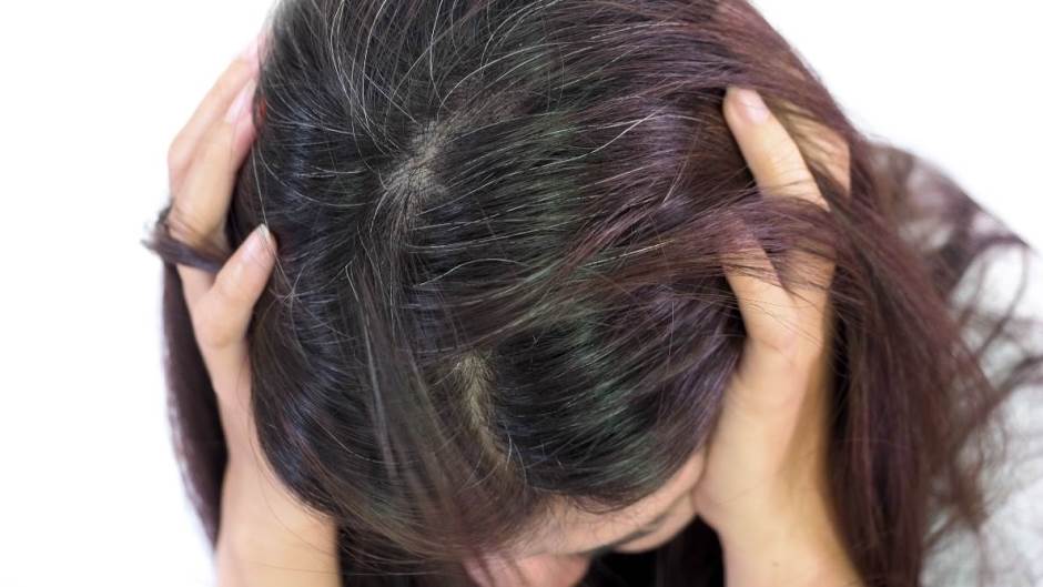 shutterstock_1413735989 seda kosa