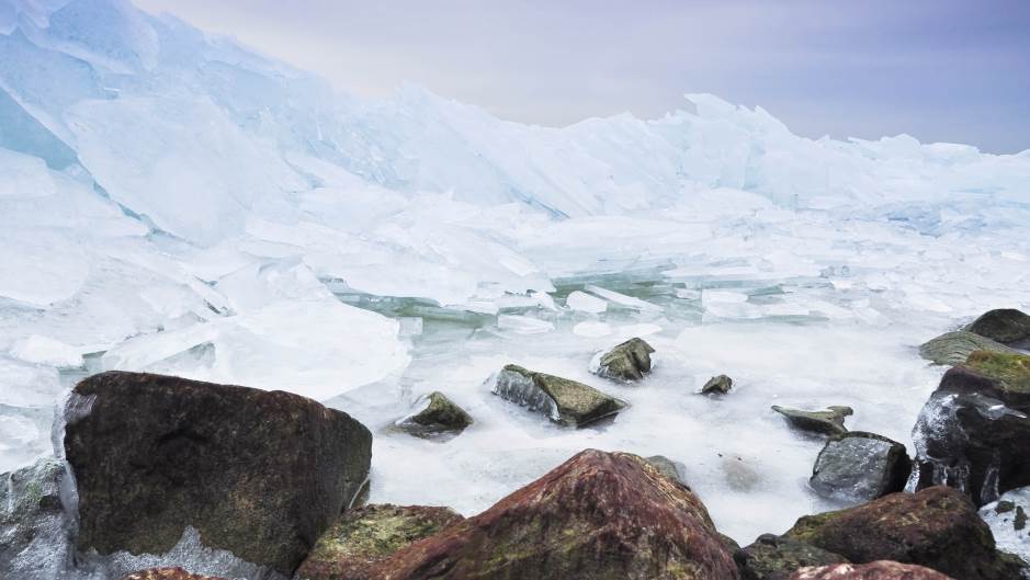 shutterstock_142980856