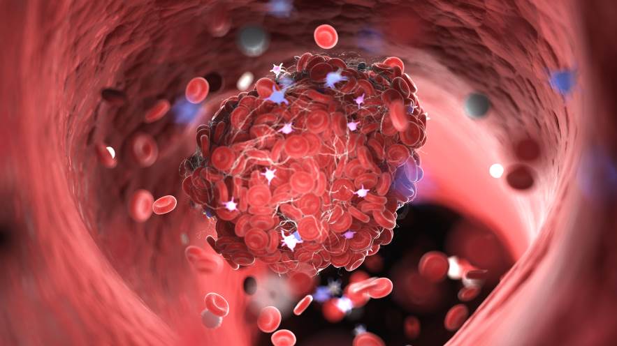 shutterstock_1440889268