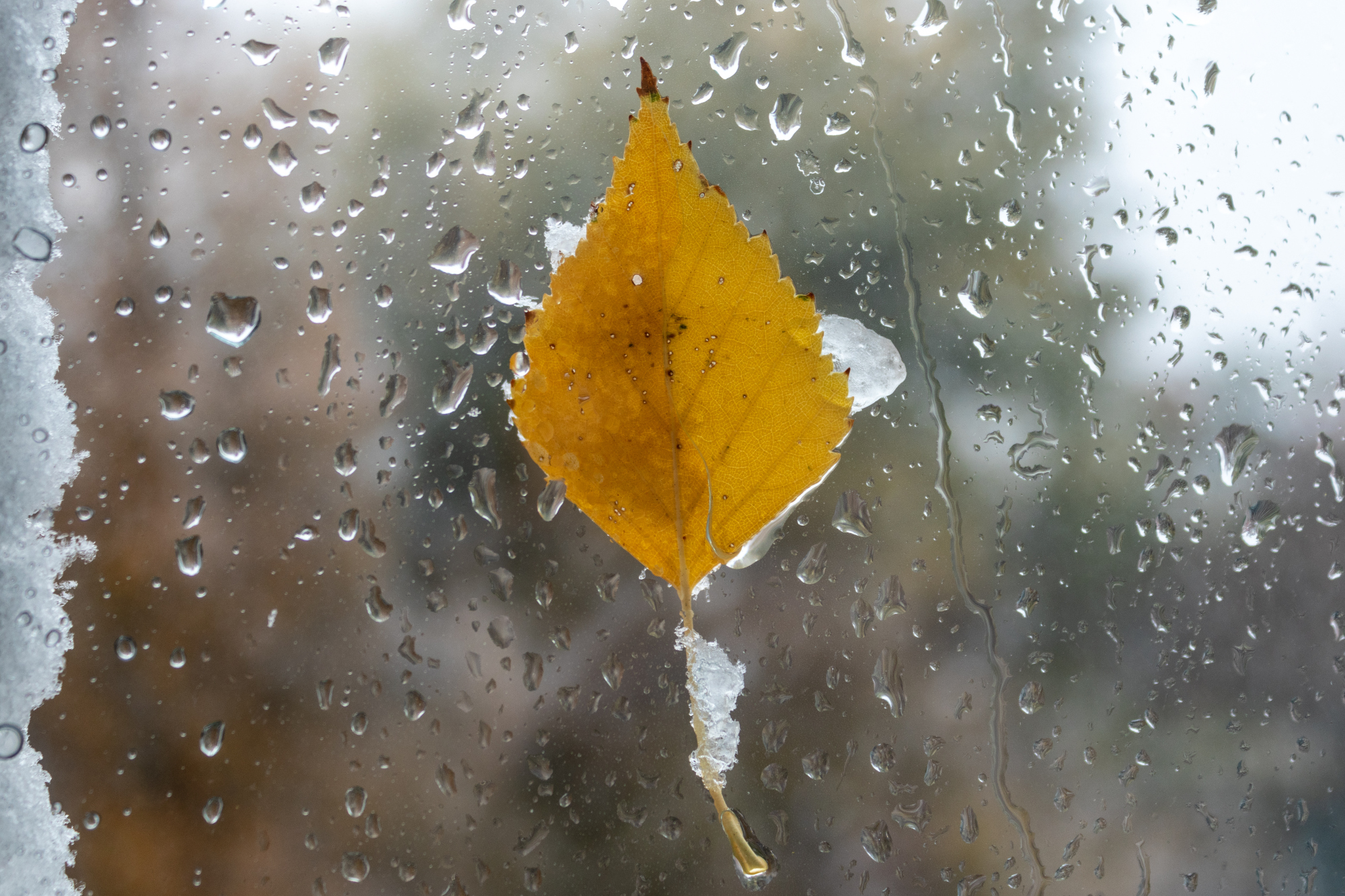 shutterstock_1533395936(1)