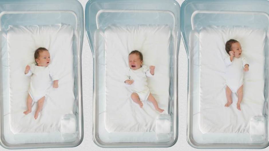 shutterstock_1546441916