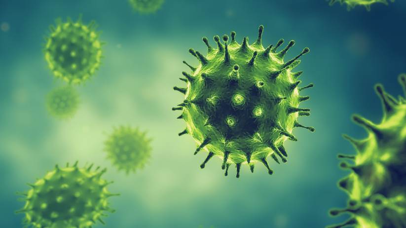 shutterstock_1612792156