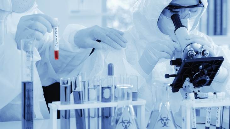 shutterstock_1651369351