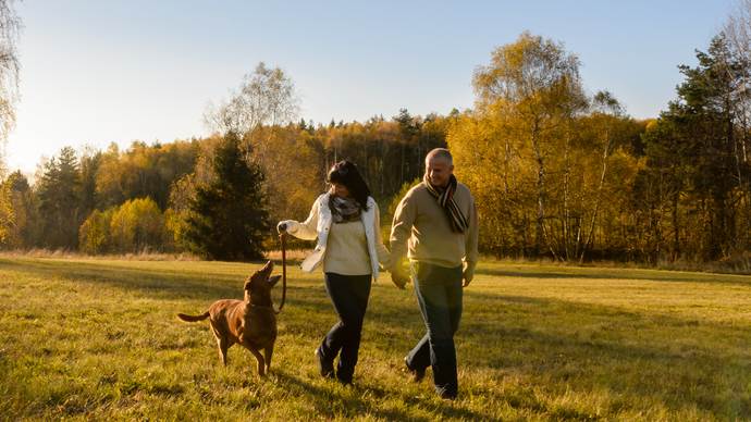 shutterstock_218805241