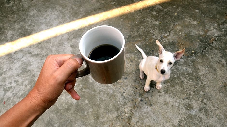 shutterstock_223217314(1)