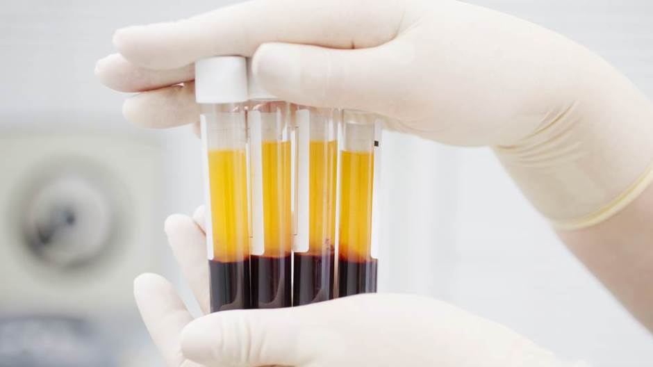 shutterstock_241407193