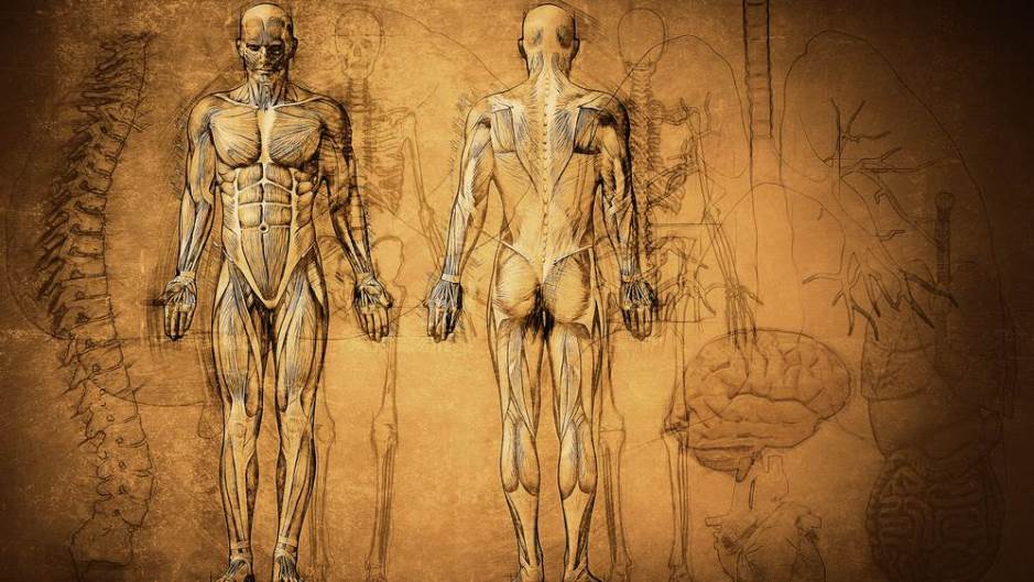 shutterstock_381224470