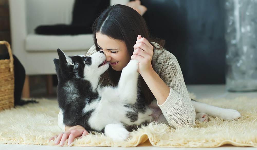 shutterstock_524212318