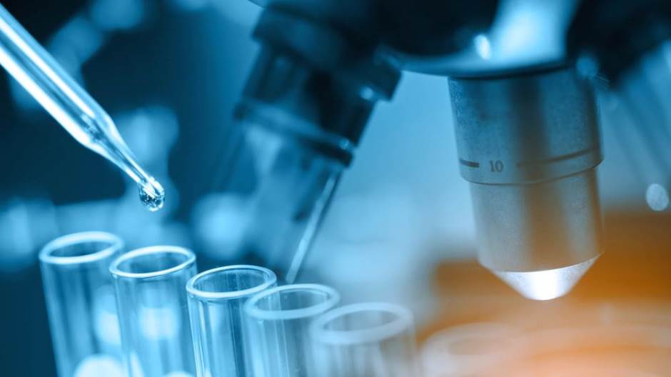 shutterstock_530971462