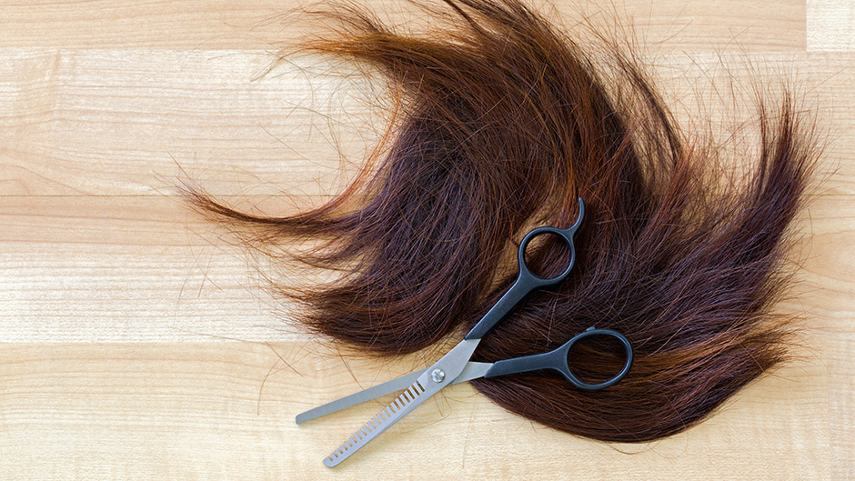 shutterstock_597200270