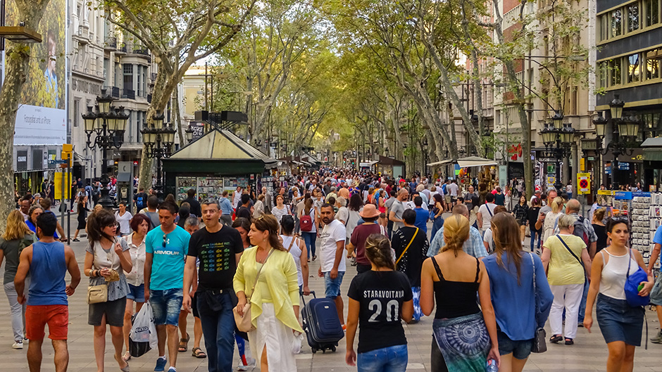 shutterstock_604379240