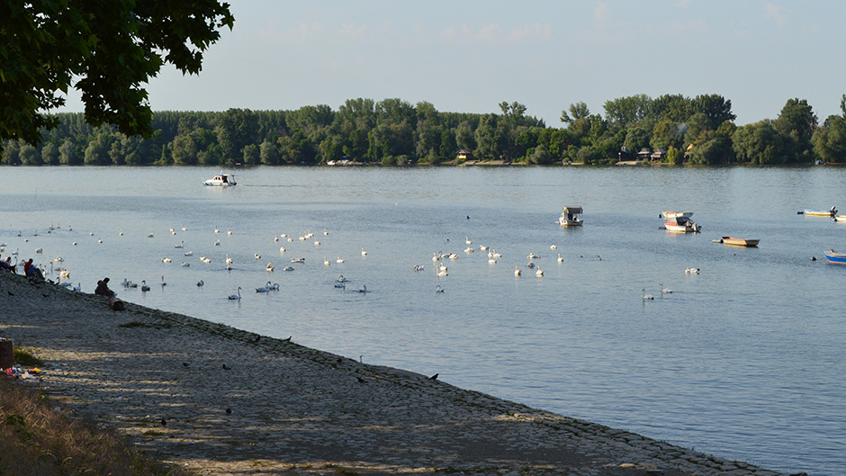 shutterstock_660368335