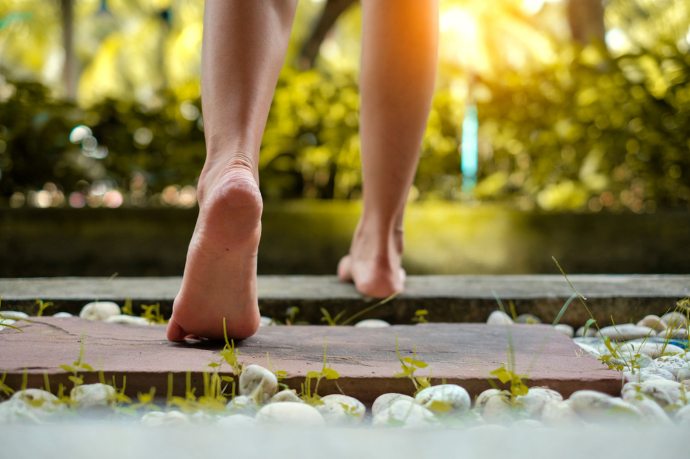 shutterstock_780494410