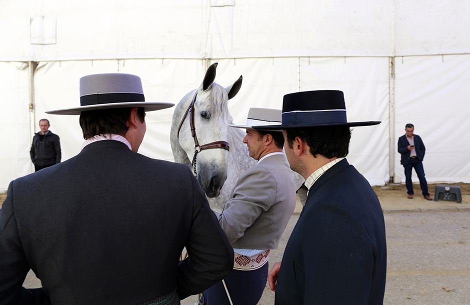 REUTERS/Marcelo del Pozo