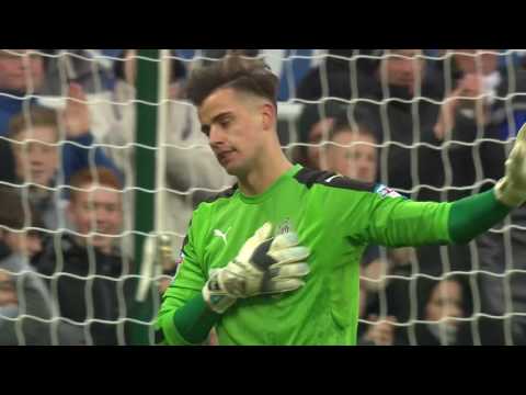 Sjajni golman Svraka