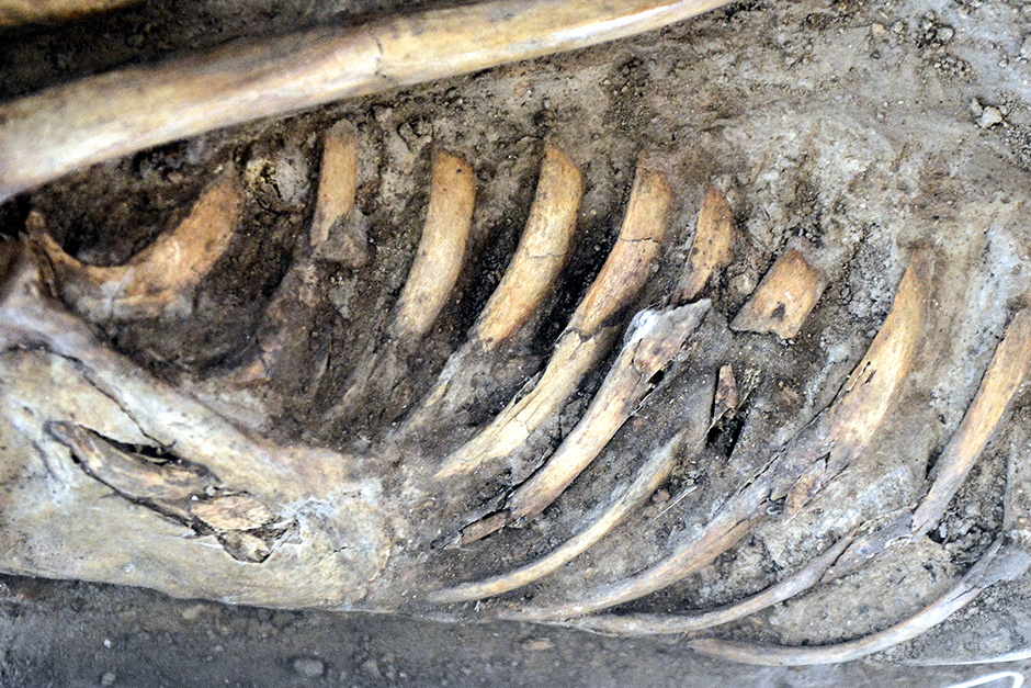 ANADOLIJA/Fatemeh Bahrami