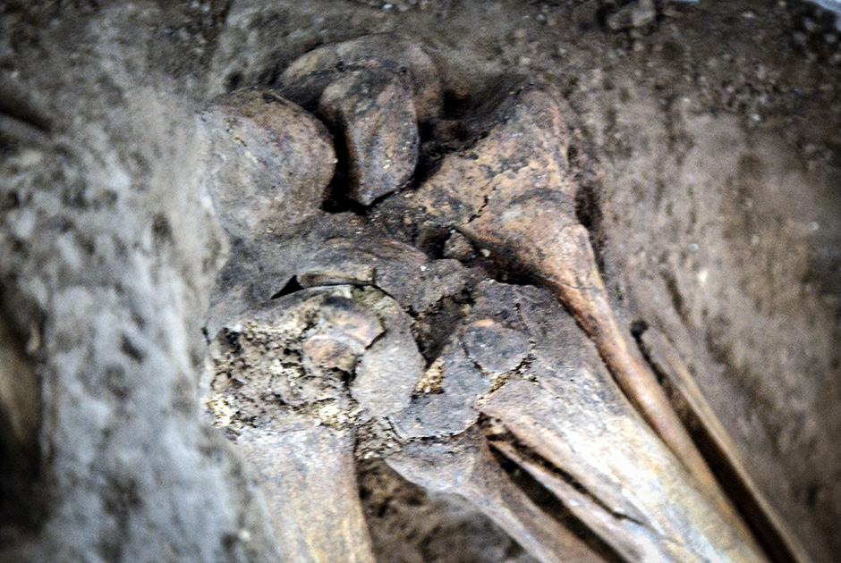 ANADOLIJA/Fatemeh Bahrami