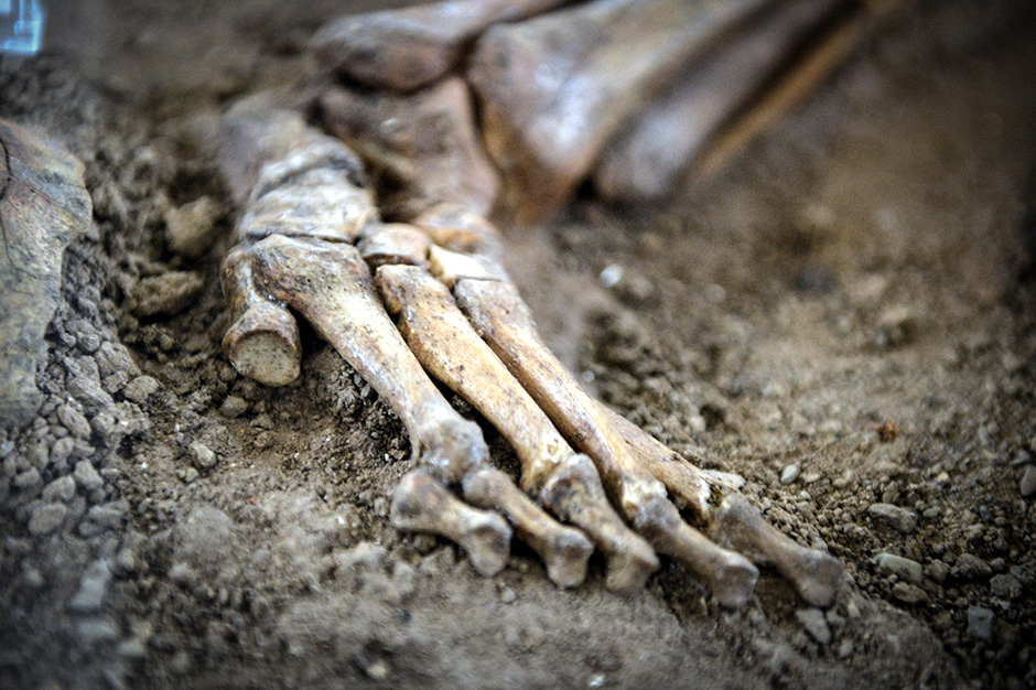 ANADOLIJA/Fatemeh Bahrami