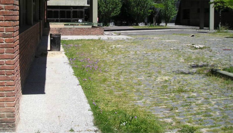 skolsko dvoriste negdje