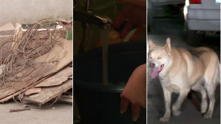 smeće redukcija psi