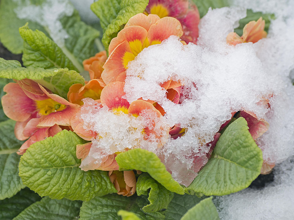 Tanjug/AP/Jens Meyer