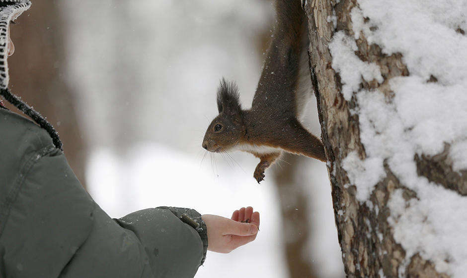 REUTERS/Stoyan Nenov