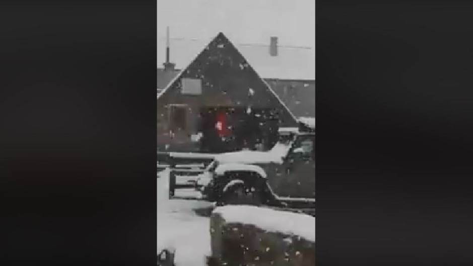 snijeg