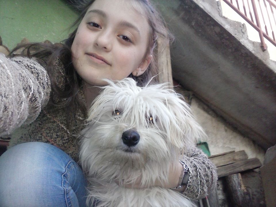 spašavanje životinja petface