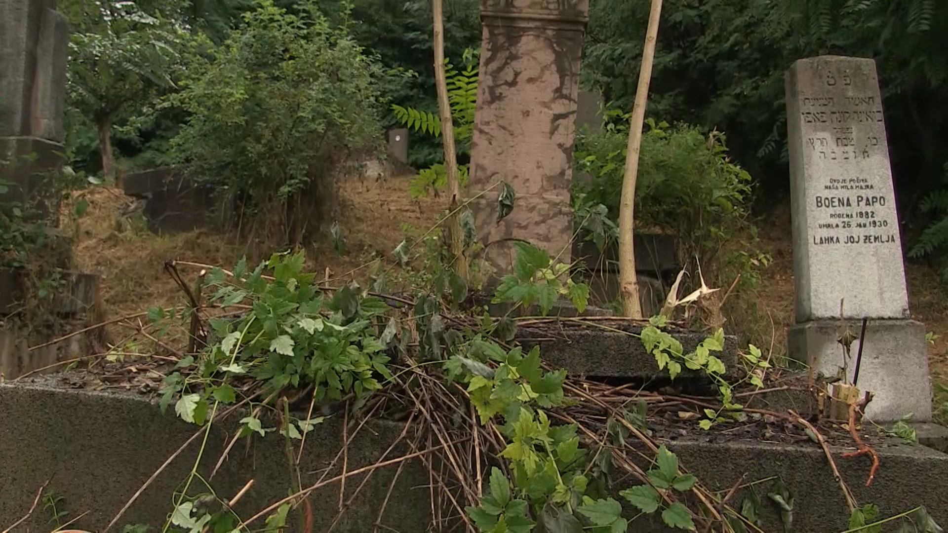 spomenik