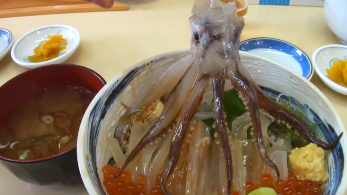 squid
