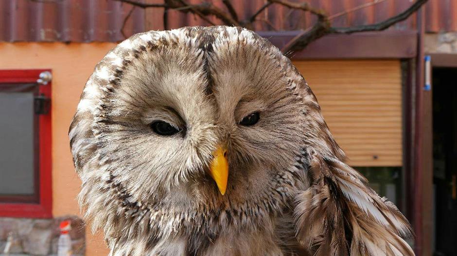 Srn2015-3-17_1214443_5