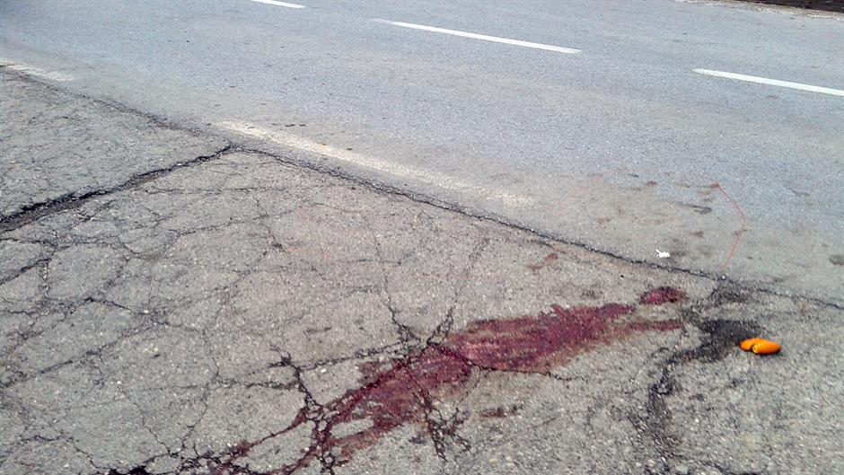 Srn2015-3-3_185789_0