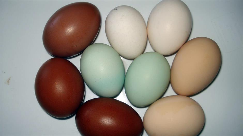 Srn2016-5-1_1438771_1