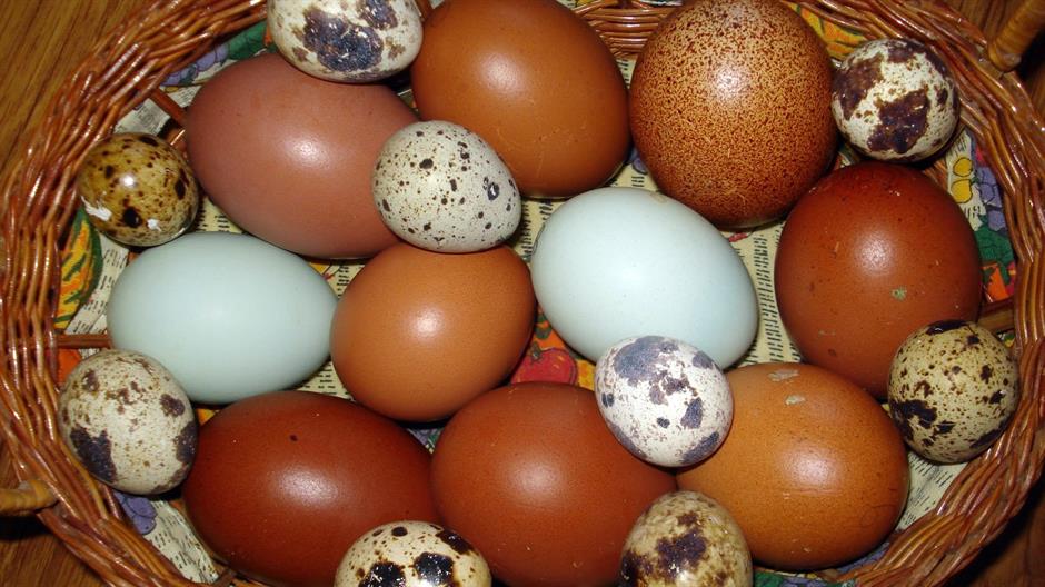 Srn2016-5-1_1438771_2