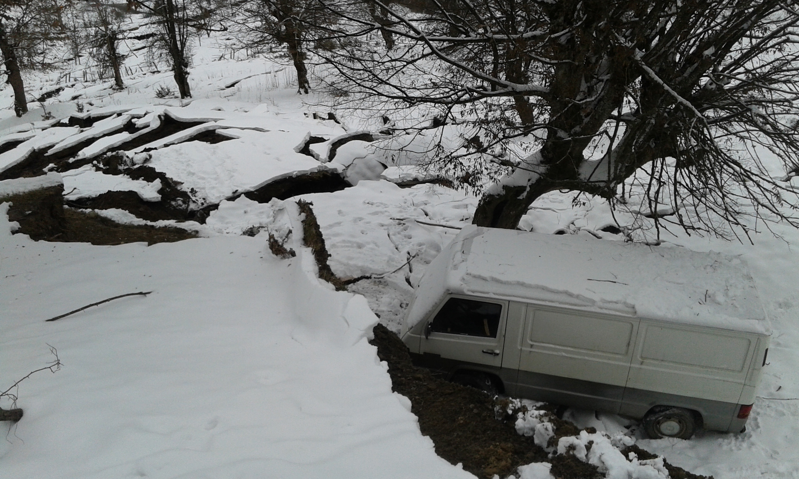 Srn2017-1-21_1457355_3