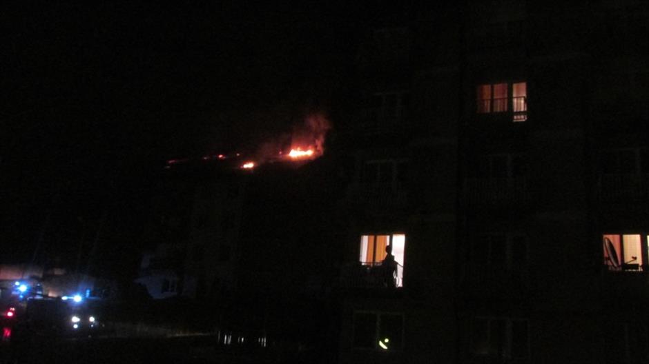 Srn2017-3-12_2151583_1