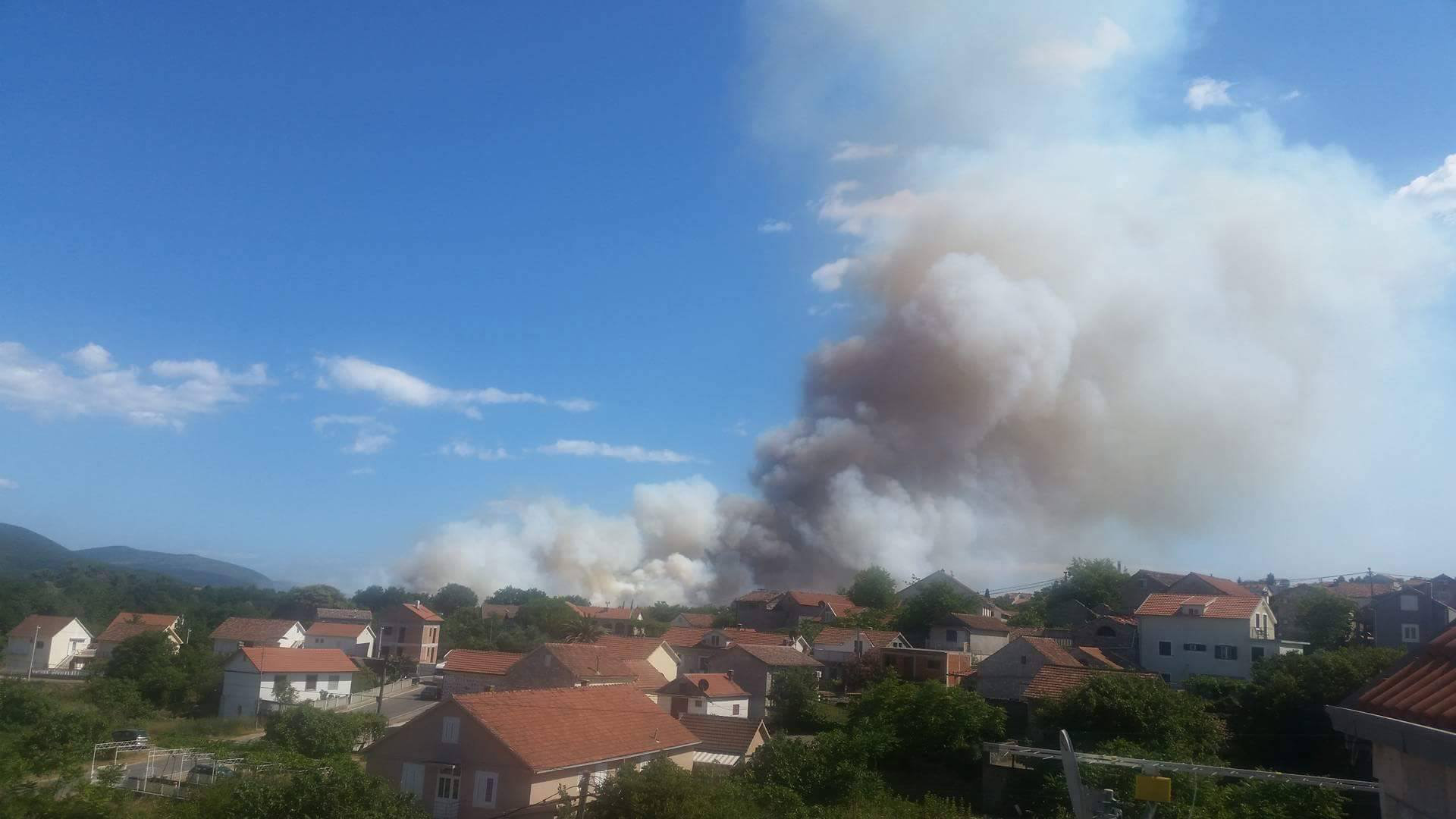 Srn2017-7-3_1637373_0