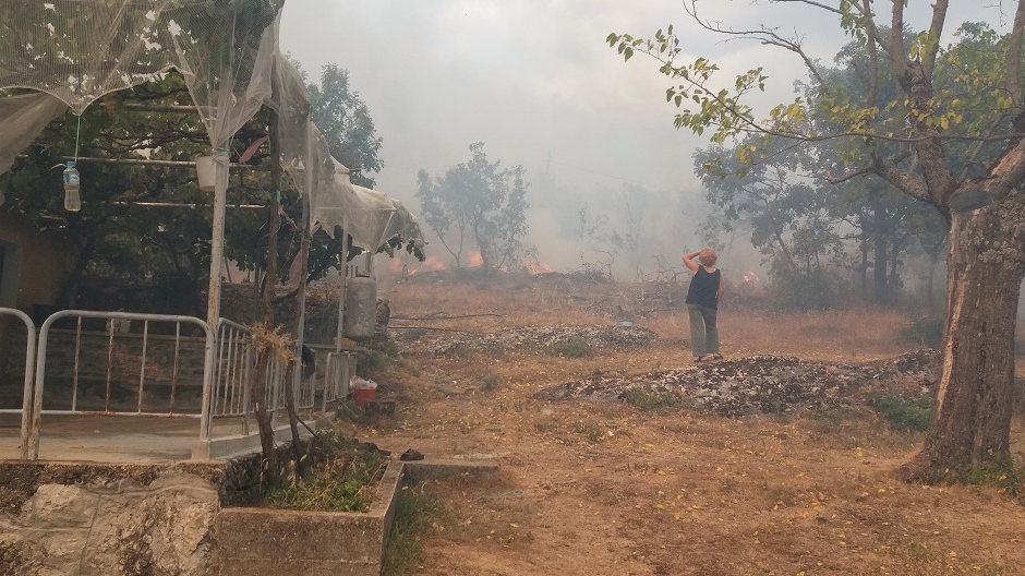 Srn2017-8-29_1448267_1