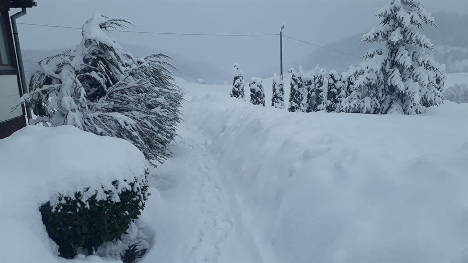 Srn2018-2-23_848611_0