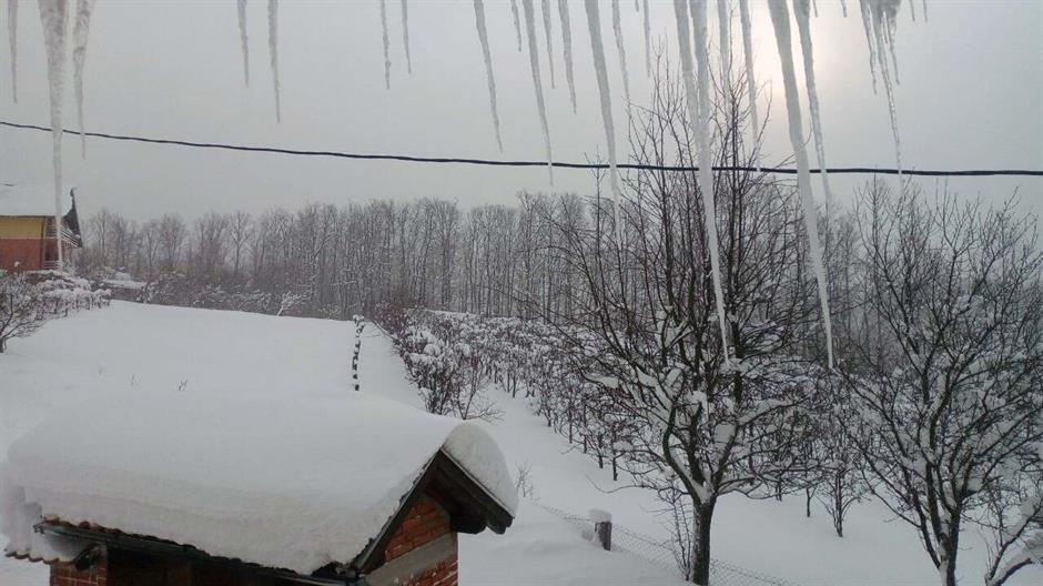 Srn2018-2-27_1038890_2