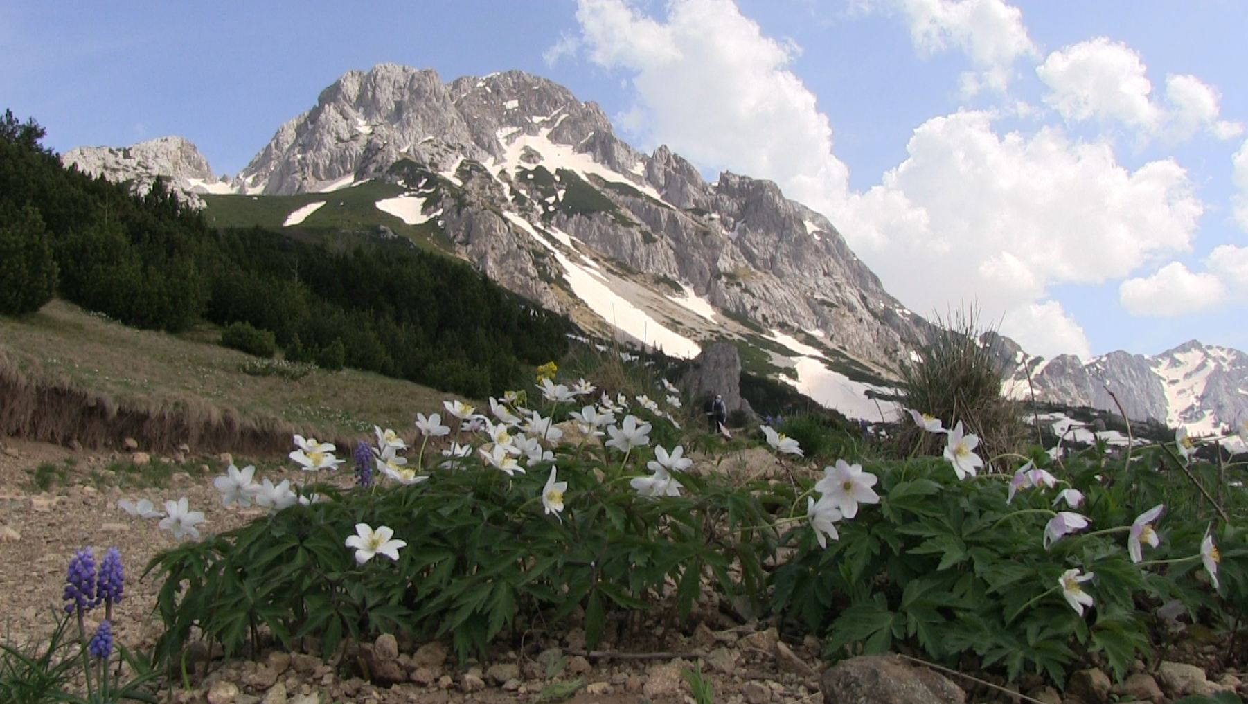 Srn2018-4-30_1039496_1