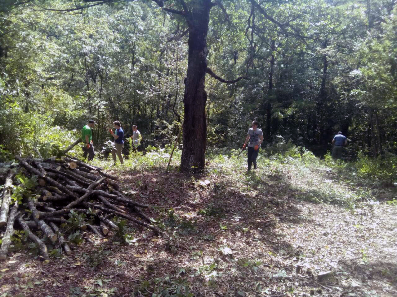 Srn2018-9-16_1259997_0