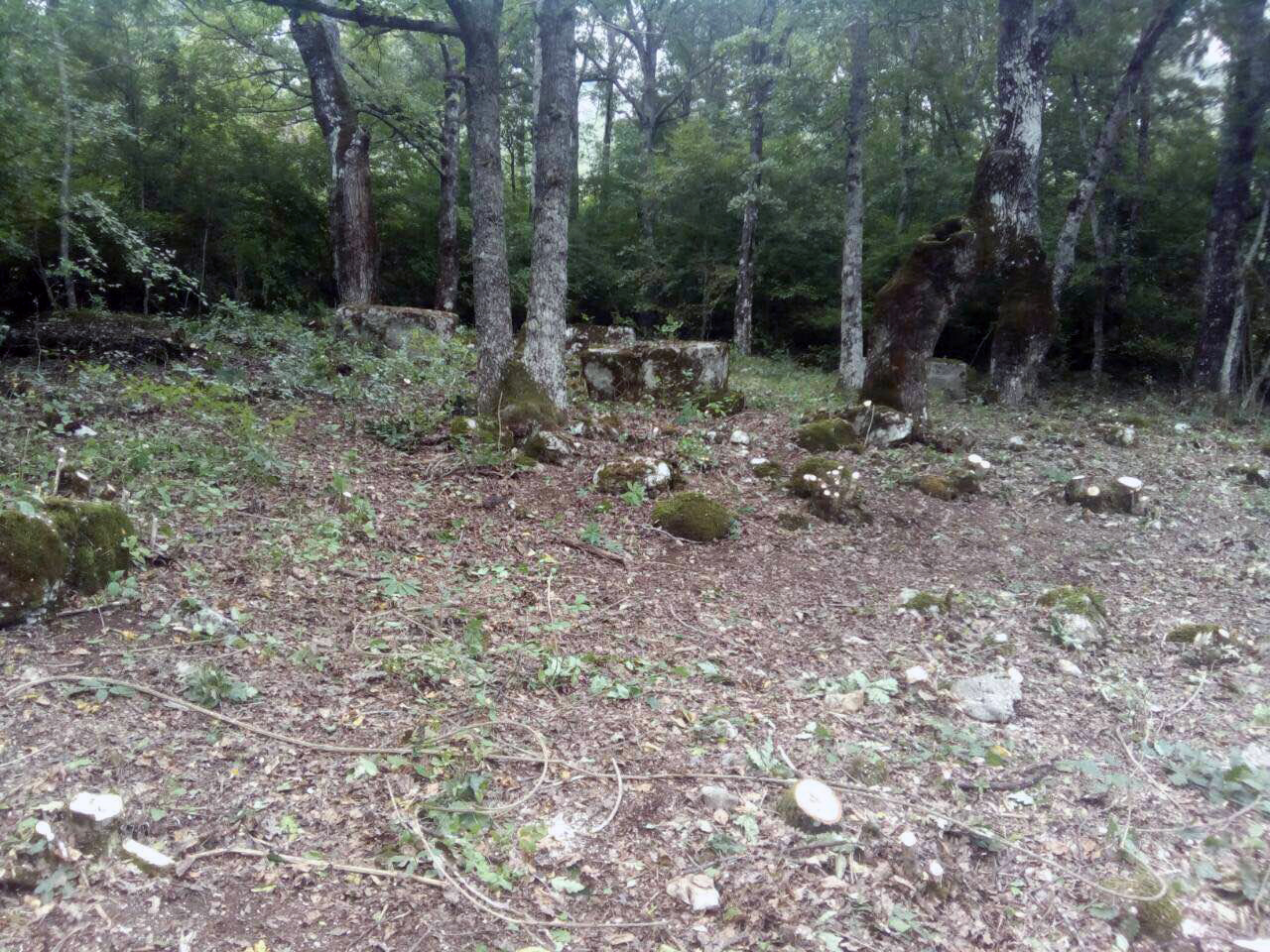 Srn2018-9-16_1259997_7