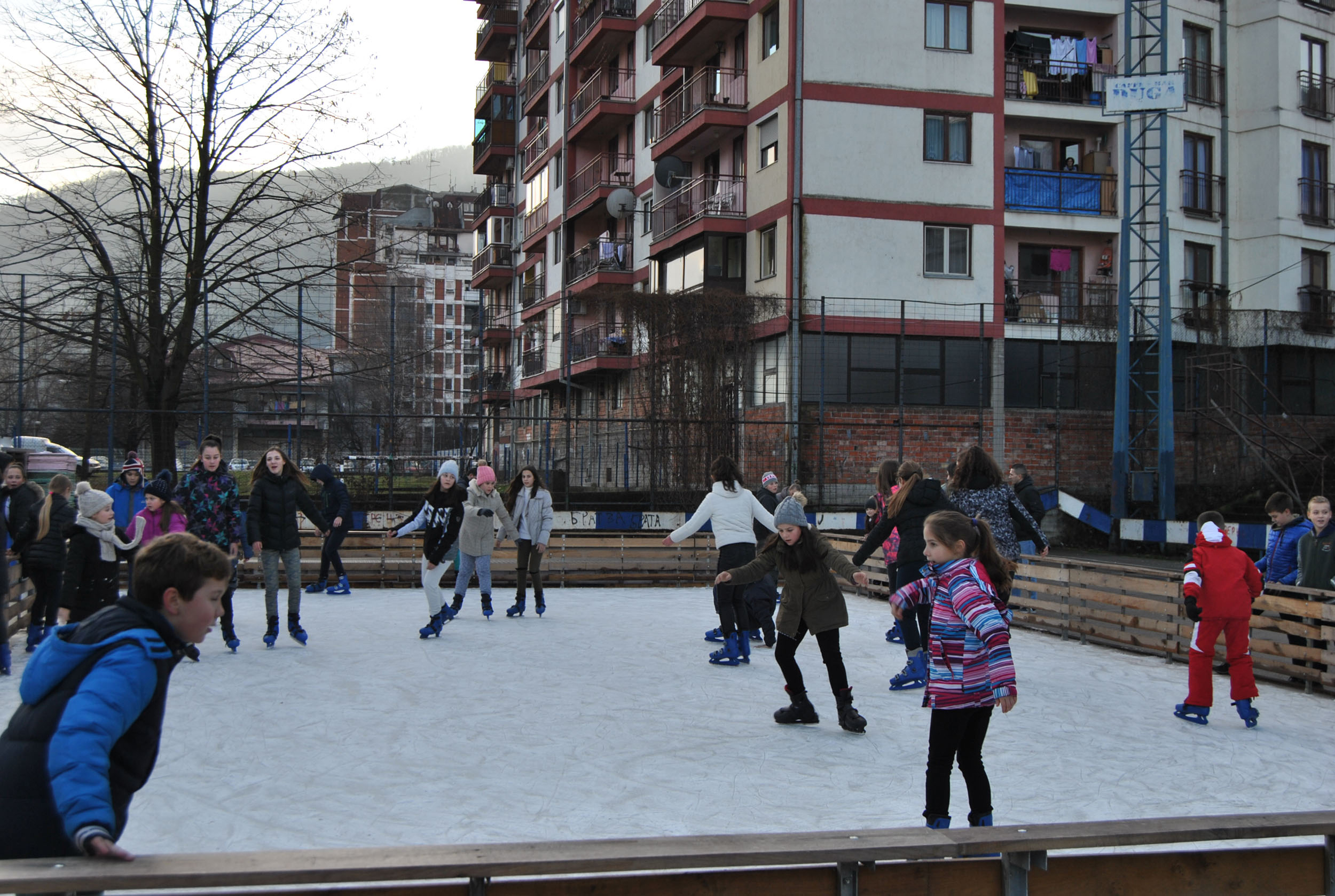 Srn2019-1-1_1533820_0