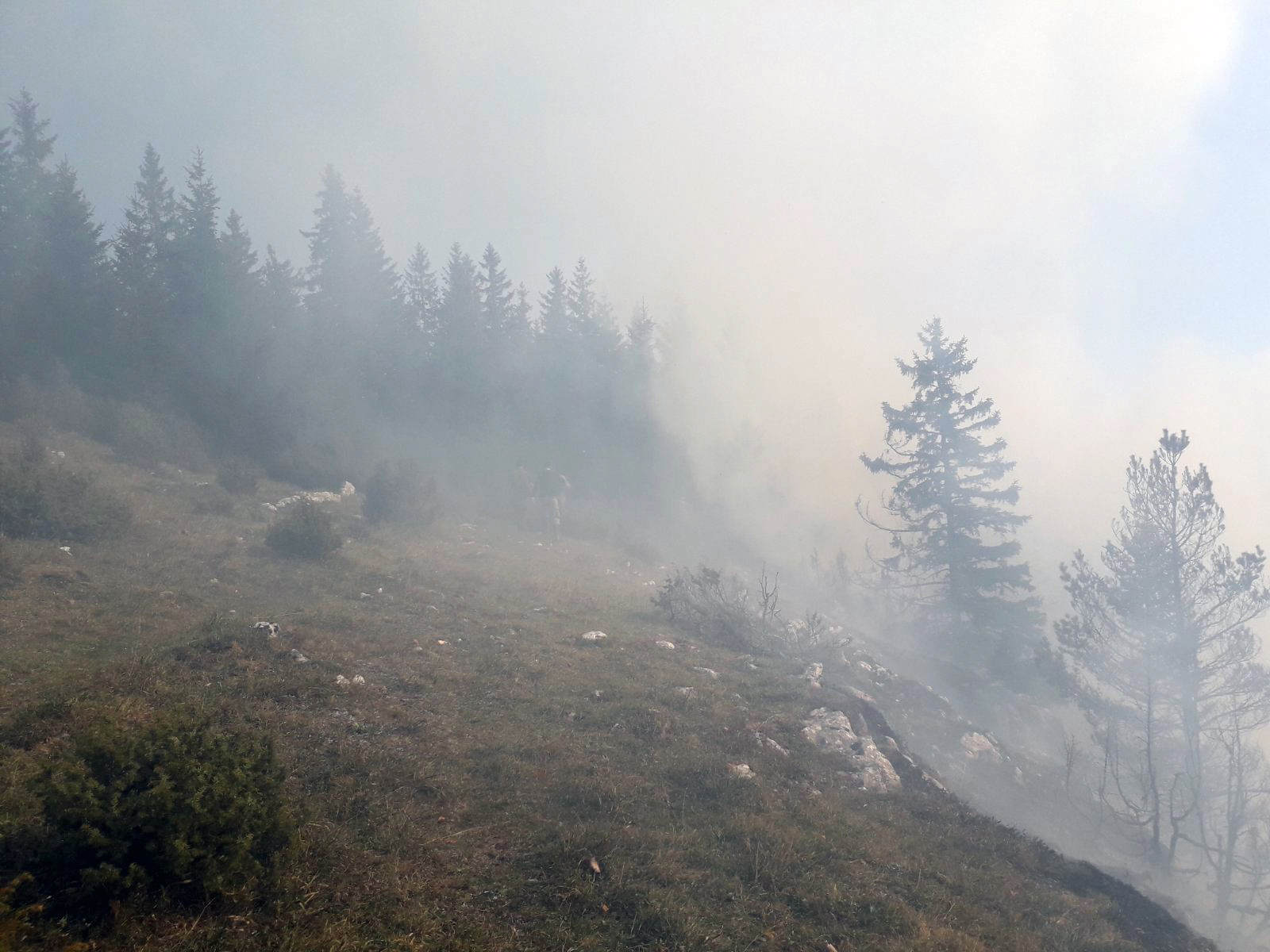 Srn2019-10-27_1644441_0