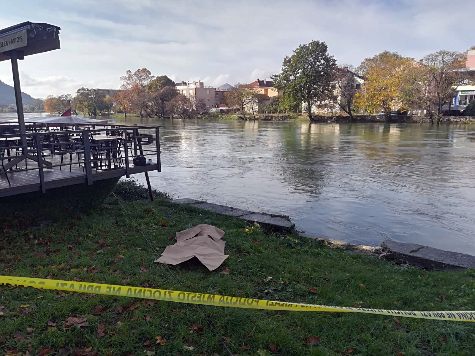 Srn2019-11-14_954315_2