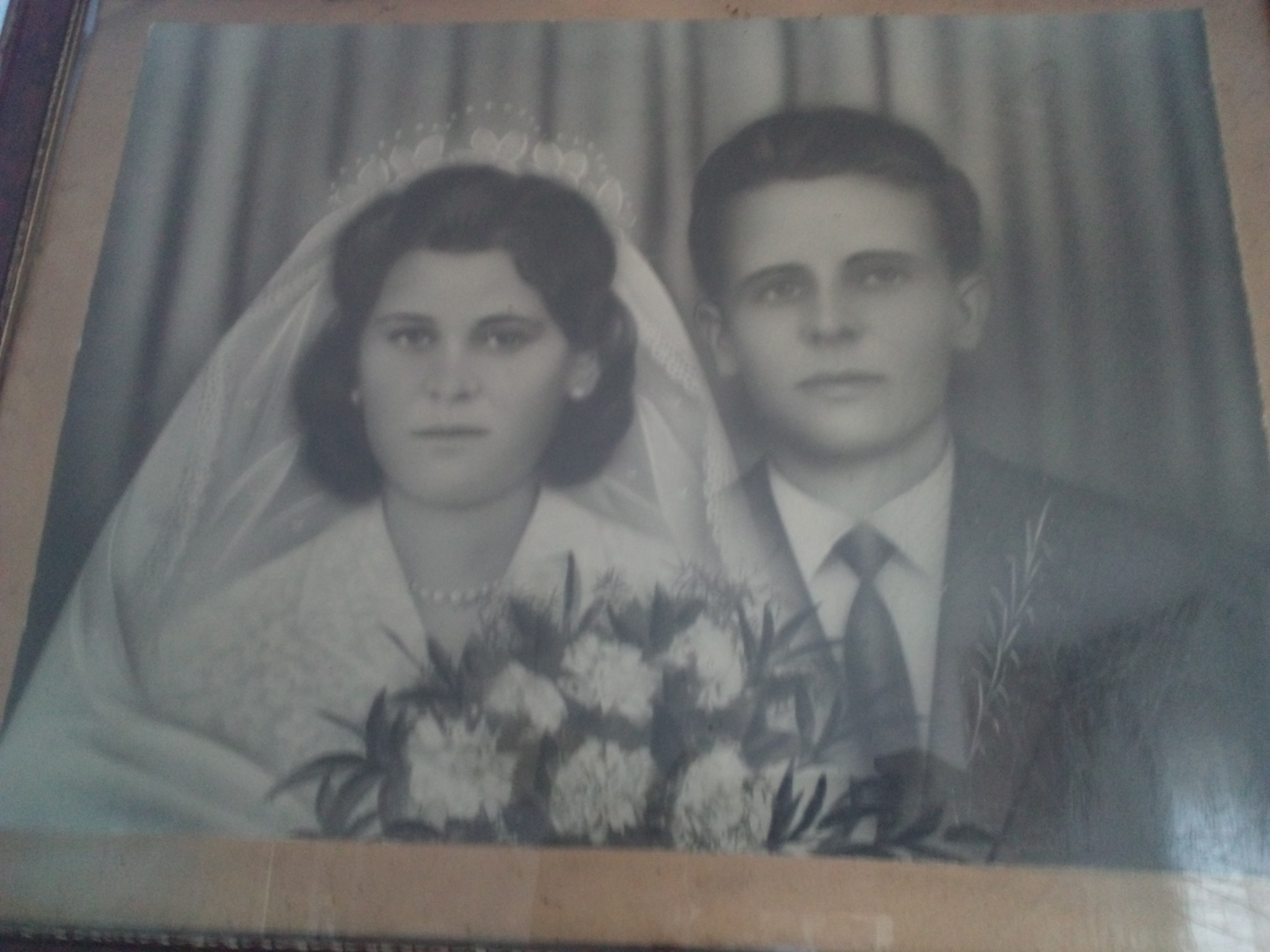 Srn2019-11-8_106179_2